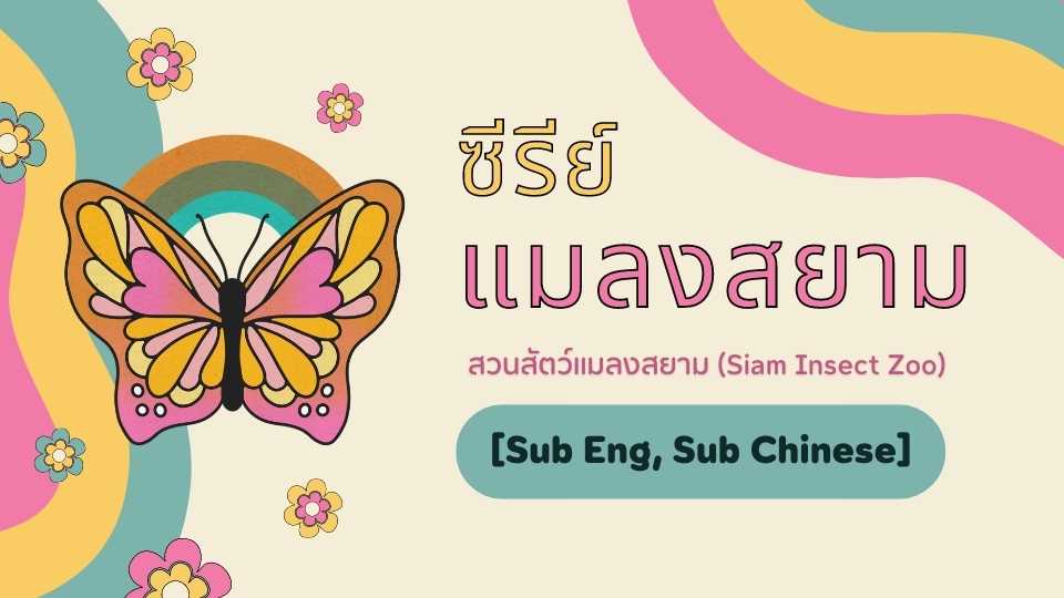 รูปภาพ แมลงสยาม