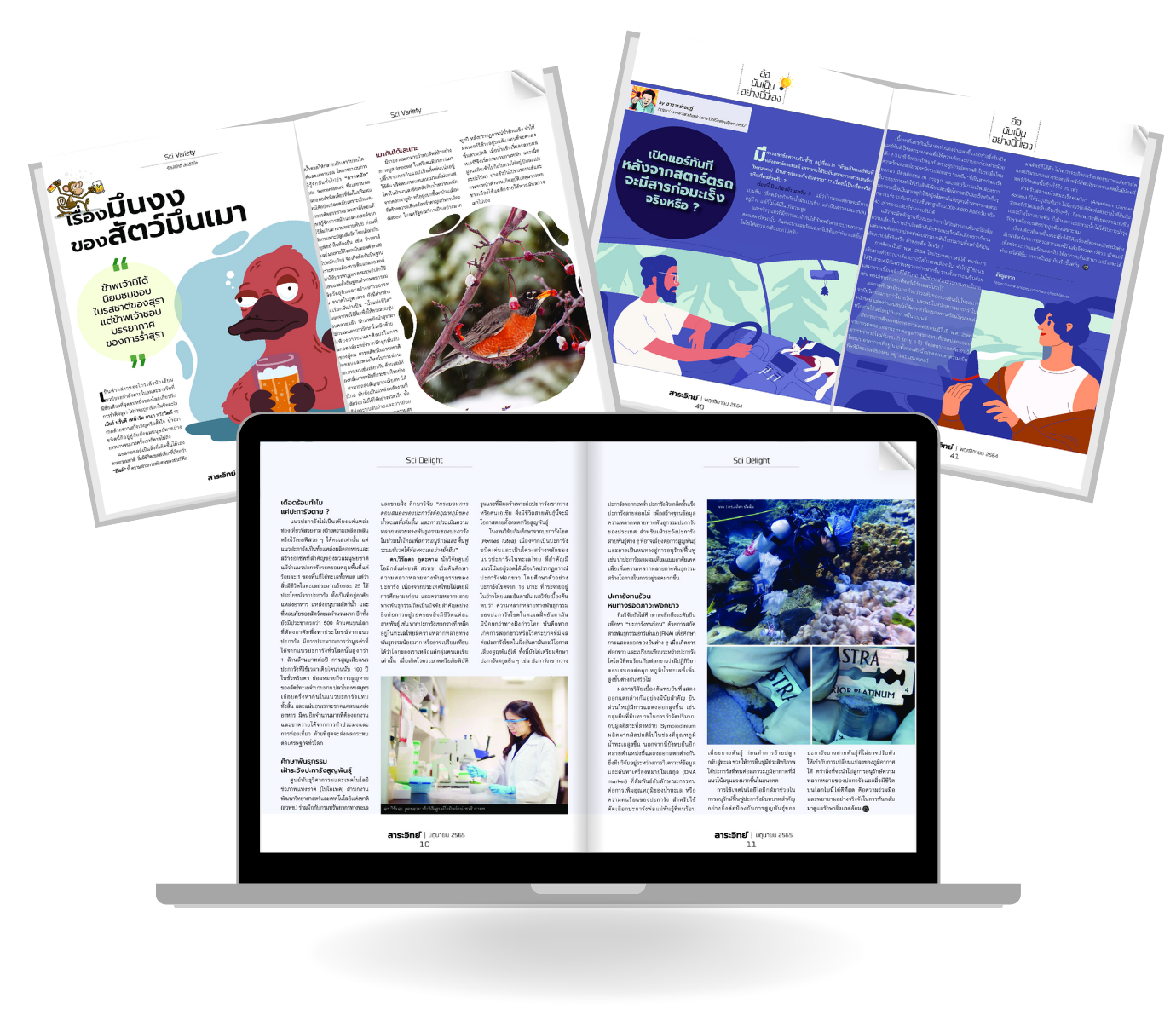 Image For Ebook